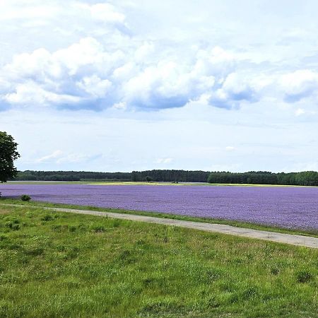 Pod Kamieniem Villa Trzebiel Luaran gambar